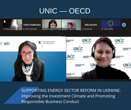 Антоніна Прудко презентувала досвід UNIC під час заходу OECD