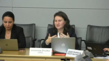 Представлення досвіду UNIC під час Зустрічі на високому рівні