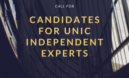 Додатковий збір попередніх пропозицій від кандидатів в незалежні експерти UNIC!